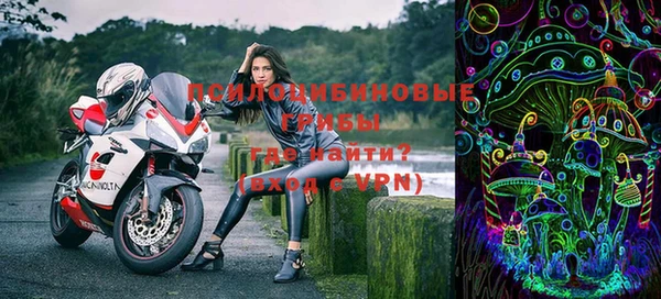 индика Абдулино